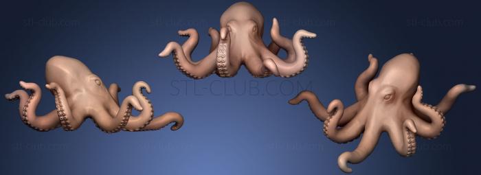 Octopus